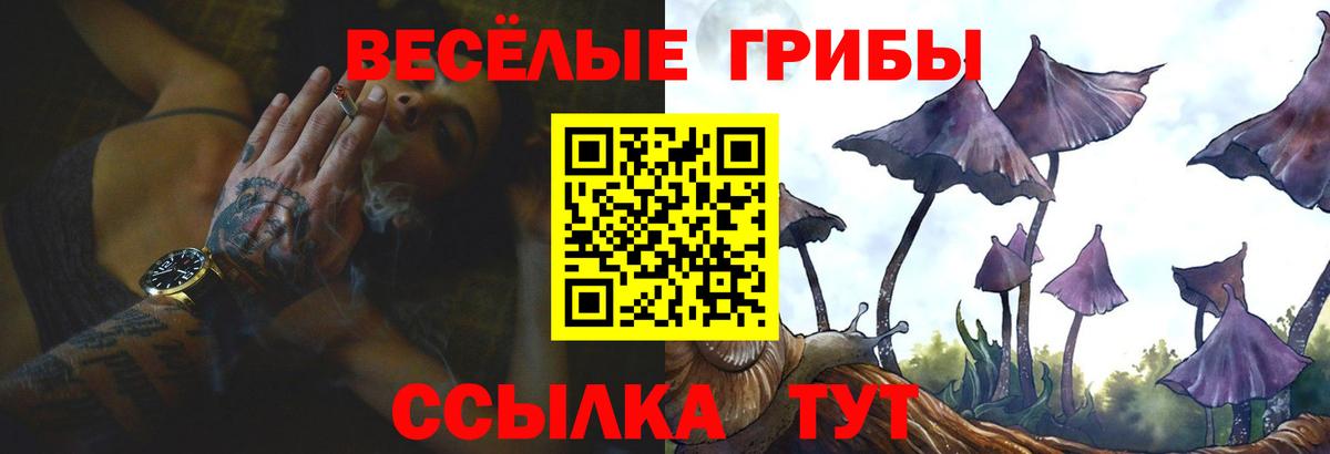 Карталы  Галлюциногенные грибы Psilocybe  Вход с VPN 
